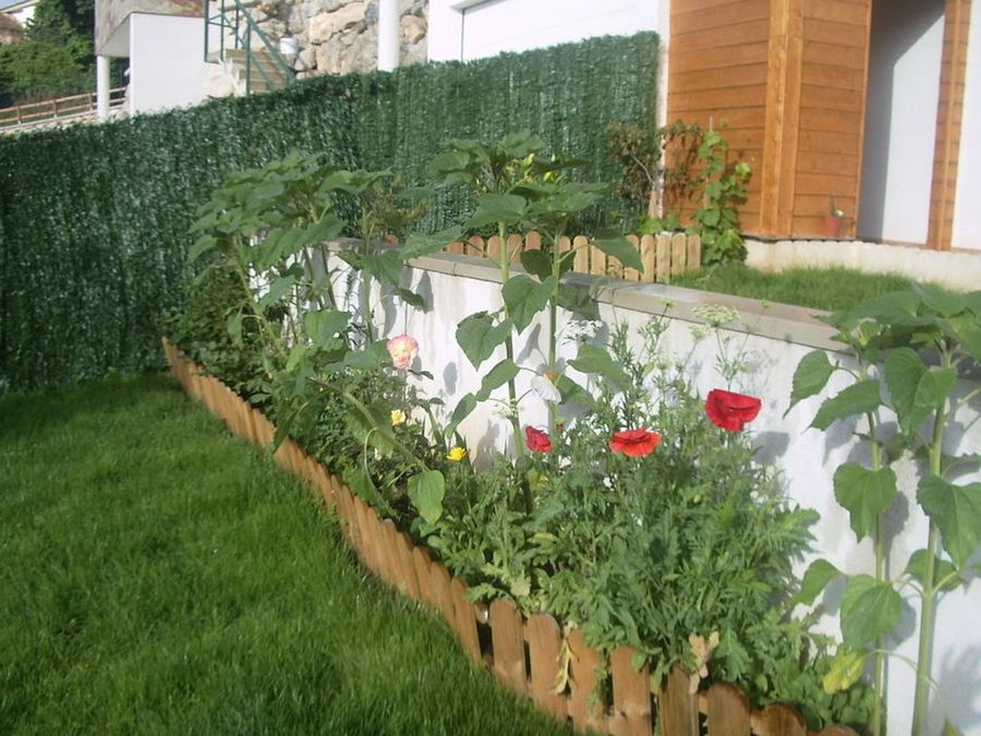 Jardín derecha