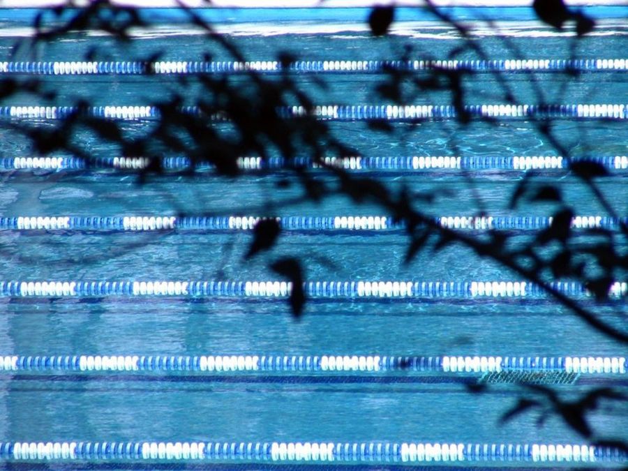 plantas piscina