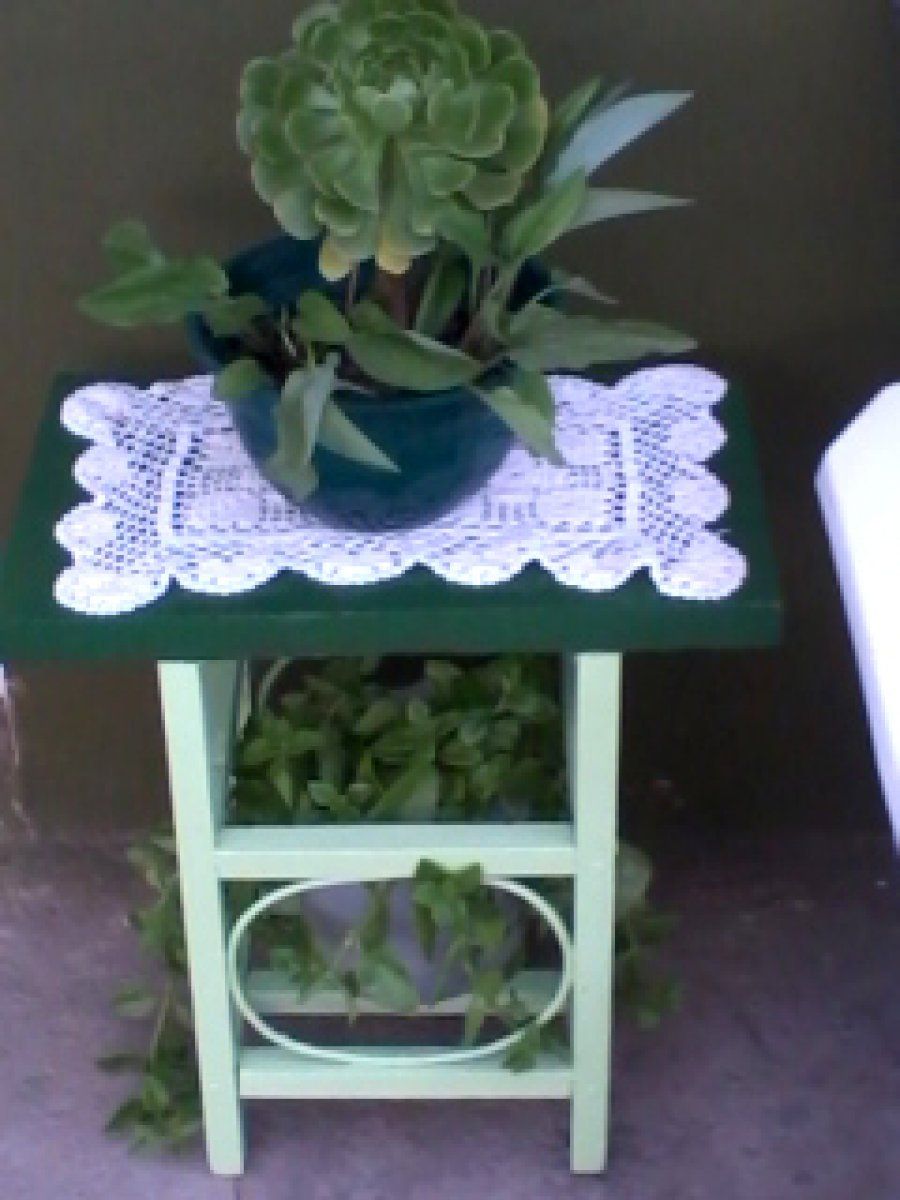 Imagen 5