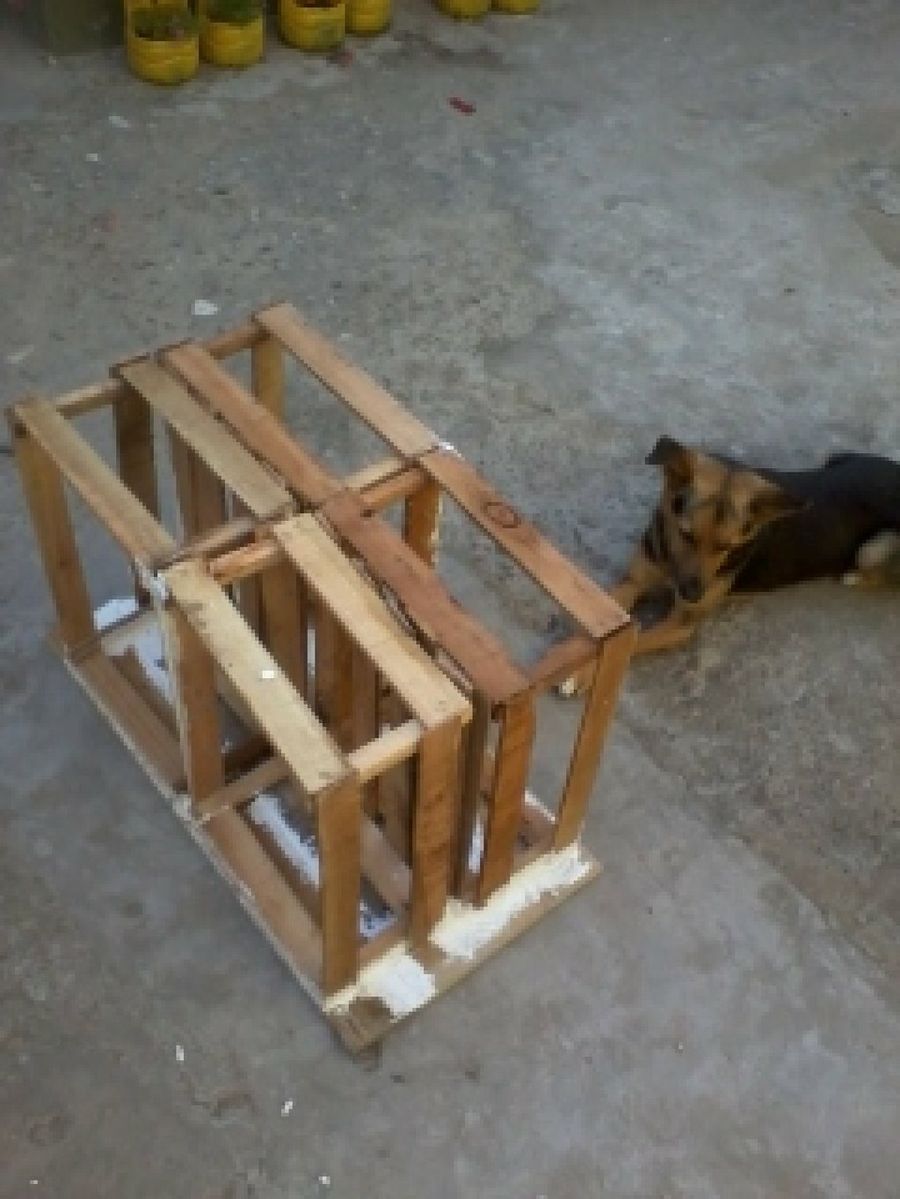 Imagen 3