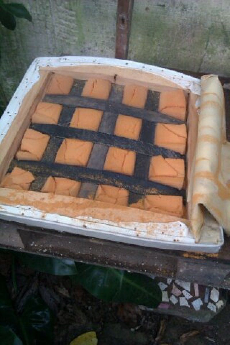Imagen 0