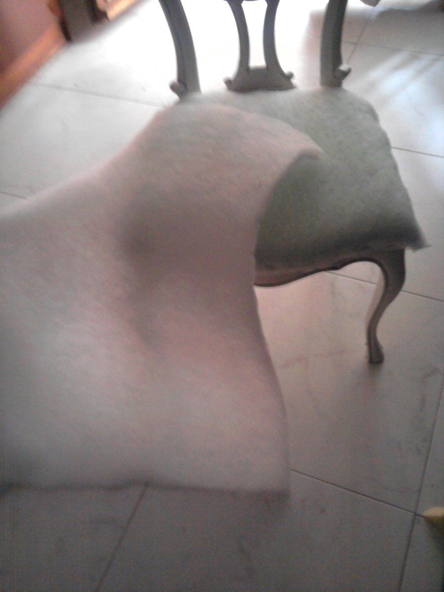 Imagen 10