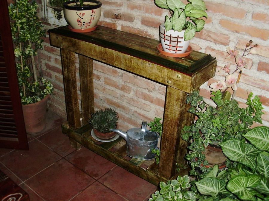 Imagen 6