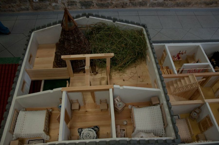 Imagen 2