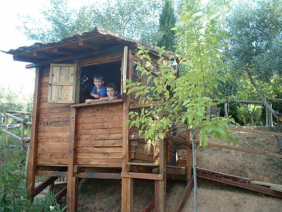 Cabaña construida por nuestro lector Alejorgemireya para sus hijos.