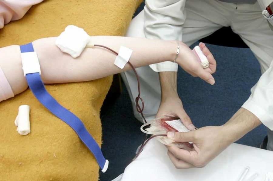 transfusión de sangre