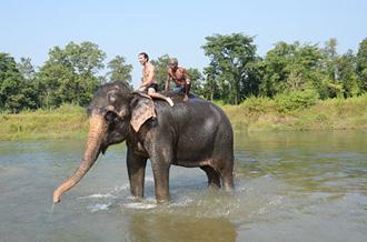Excursiones en elefante