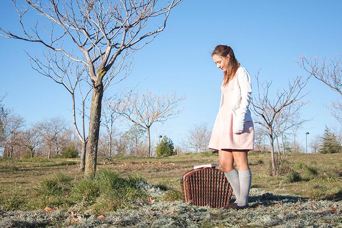 moonrise_kingdom_carnaval