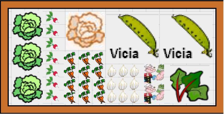Propuesta de cultivos para una mesa de 150cm de largo por 75 cm de ancho