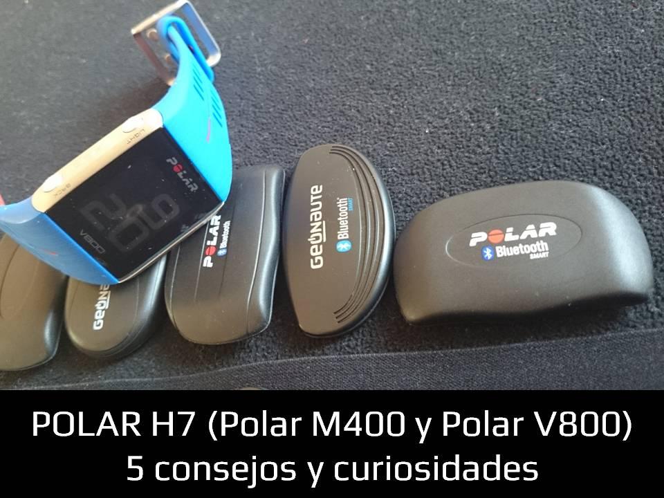 polar H7 1