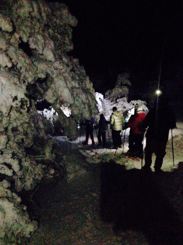 Raquetas de nieve nocturna