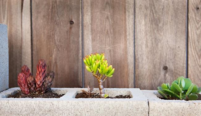 lovelivedream_bloqueshormigon_7