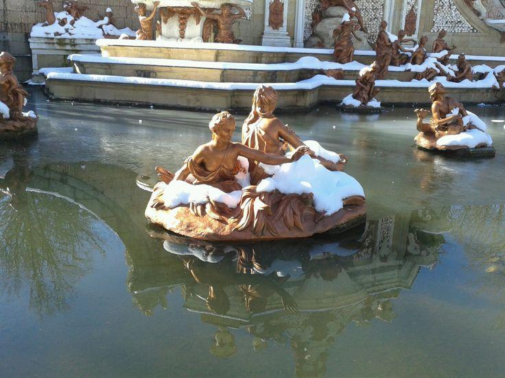 ninfas en la granja