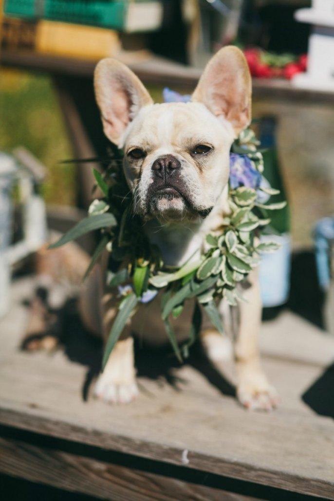 fiesta de cumpleaños-23