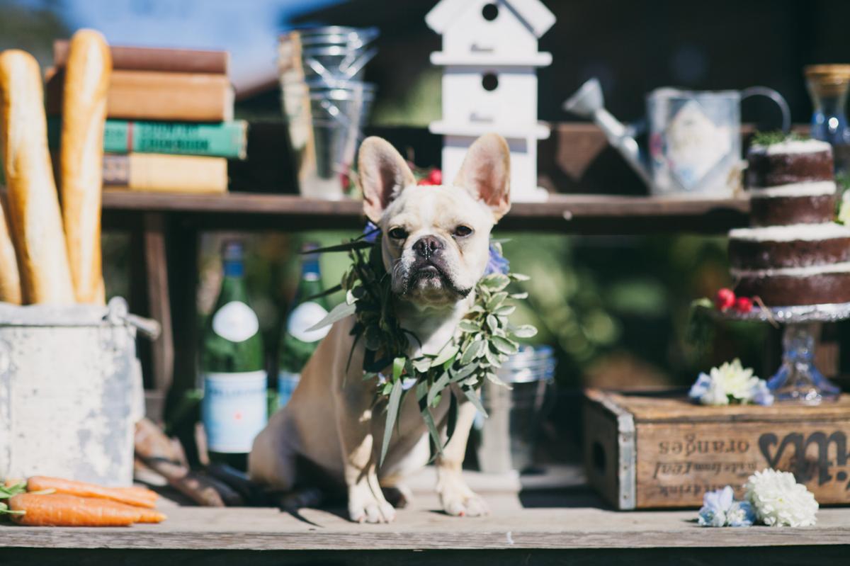 fiesta de cumpleaños