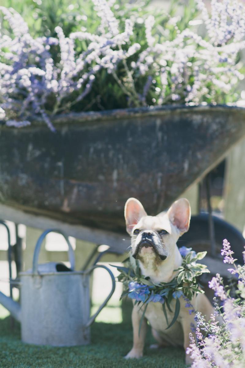 fiesta de cumpleaños