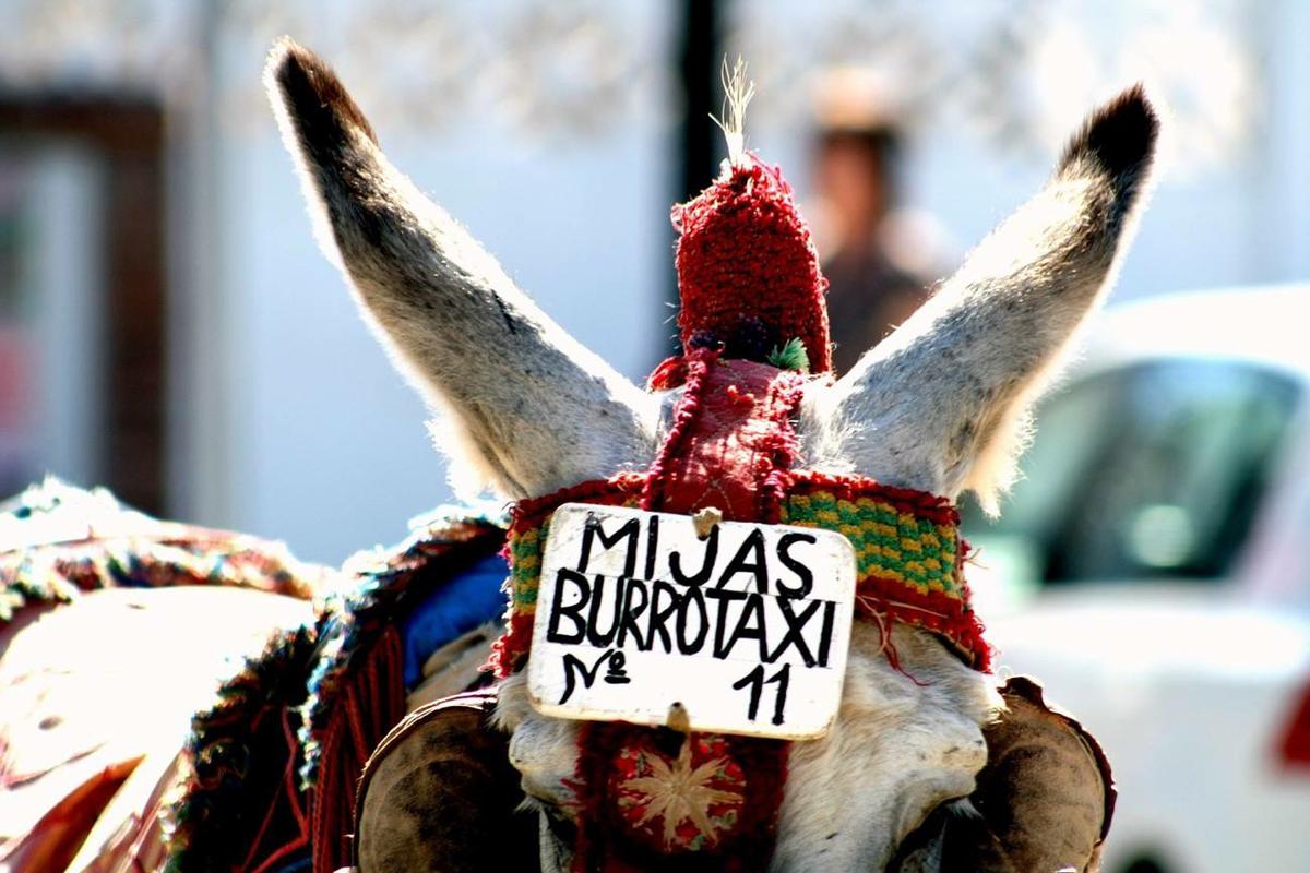 Fuente: Hernán Piñera 