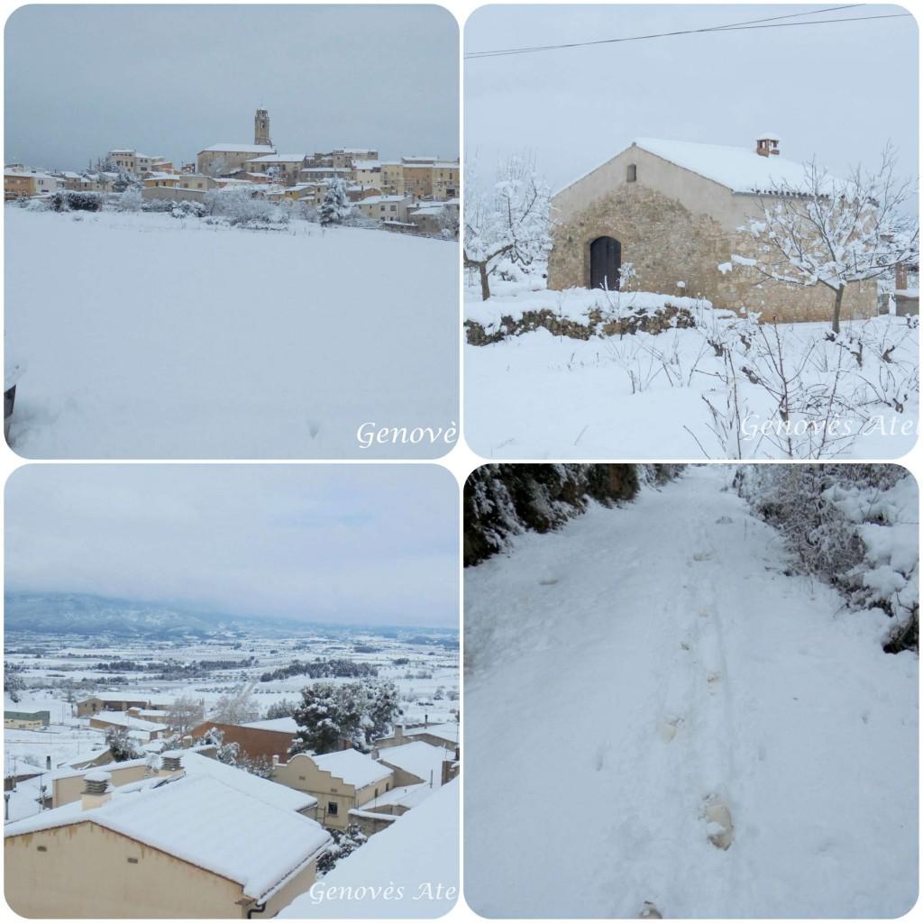 Nieve Barbera de la Conca Genoves Atelier
