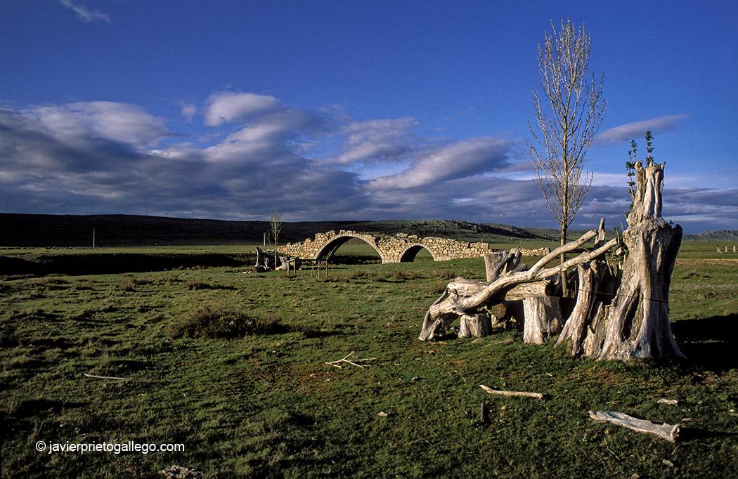 Puente de las Merinas. Segovia. Castilla y León. España, 2002 © Javier Prieto Gallego;