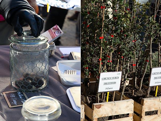 drome-marche-aux-truffes