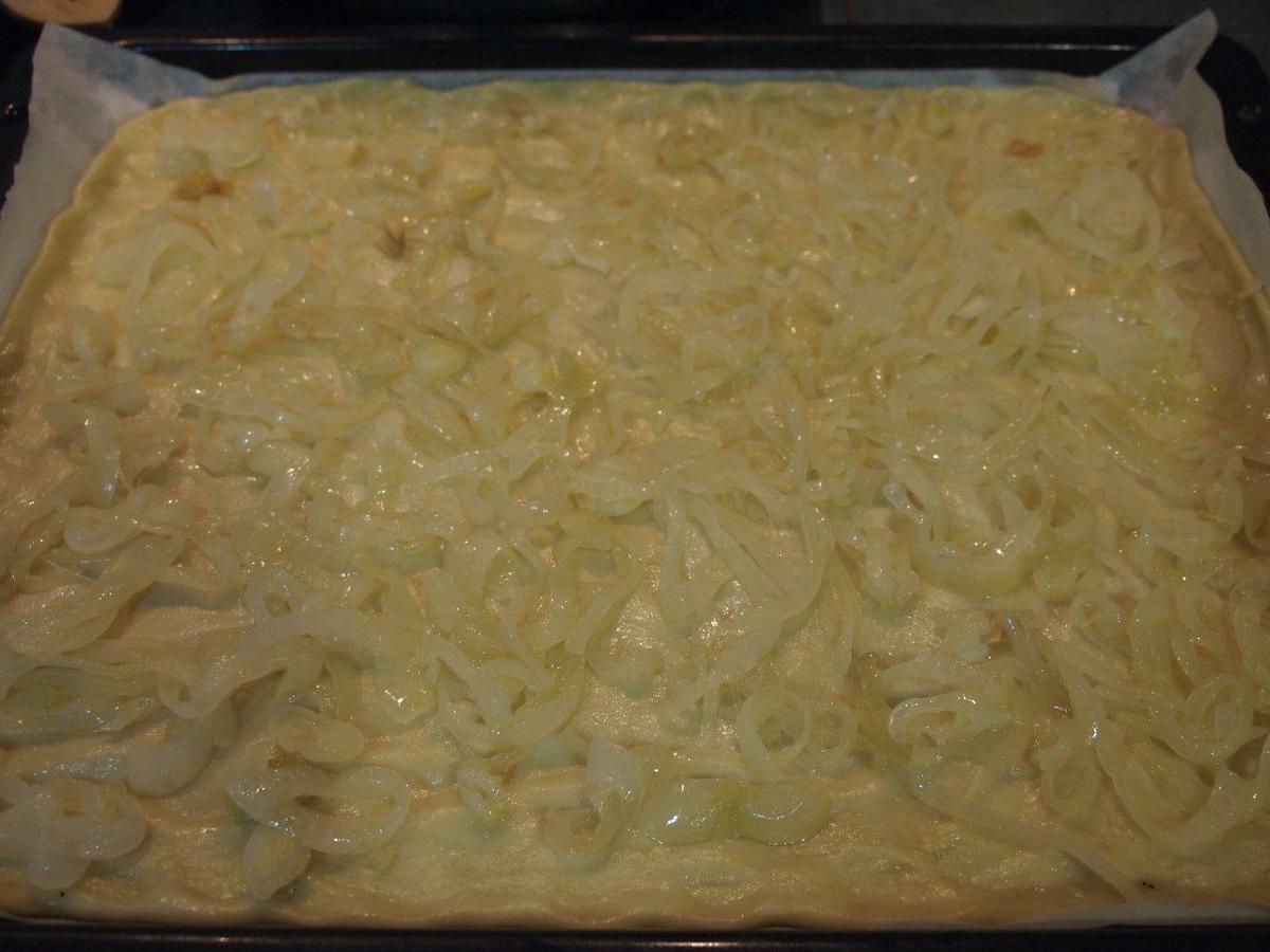 coca cebolla farinato