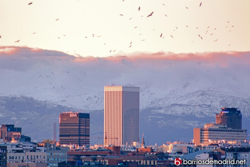 Torre Picasso Invierno