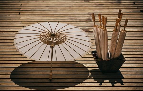 EDISEE_detalles_invitados_Diana-Feldhaus.13