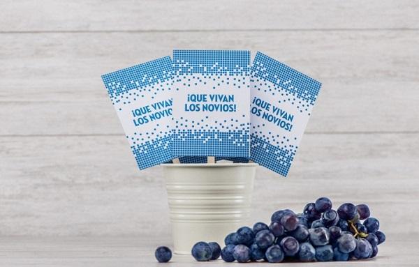 EDISEE_detalles_invitados_Diana-Feldhaus.16