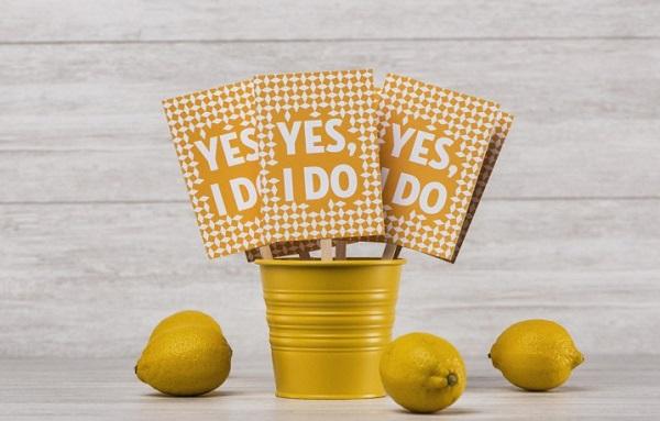 EDISEE_detalles_invitados_Diana-Feldhaus.19