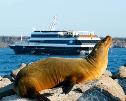 Crucero a las islas galapagos