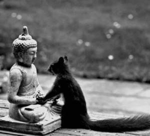 La relajación genera bienestar