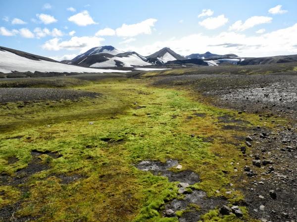 Musgo-nieve-y-lava-en-Islandia