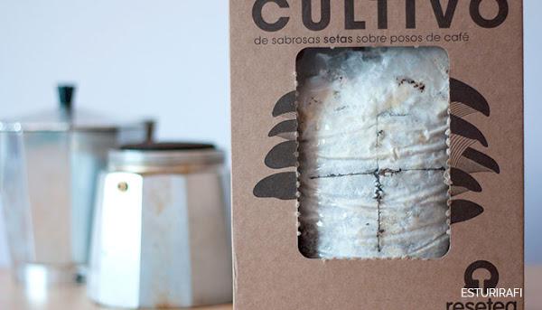 Sorteo Resetea setas responsables