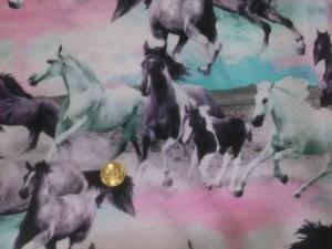 IMG_20150216_190039_ml