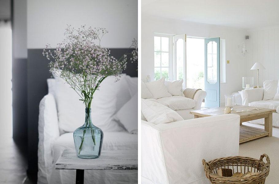 Paniculata-SalonPuertaTurquesa