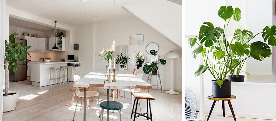 Salon-CostillaAdan-MyScandinavianHome