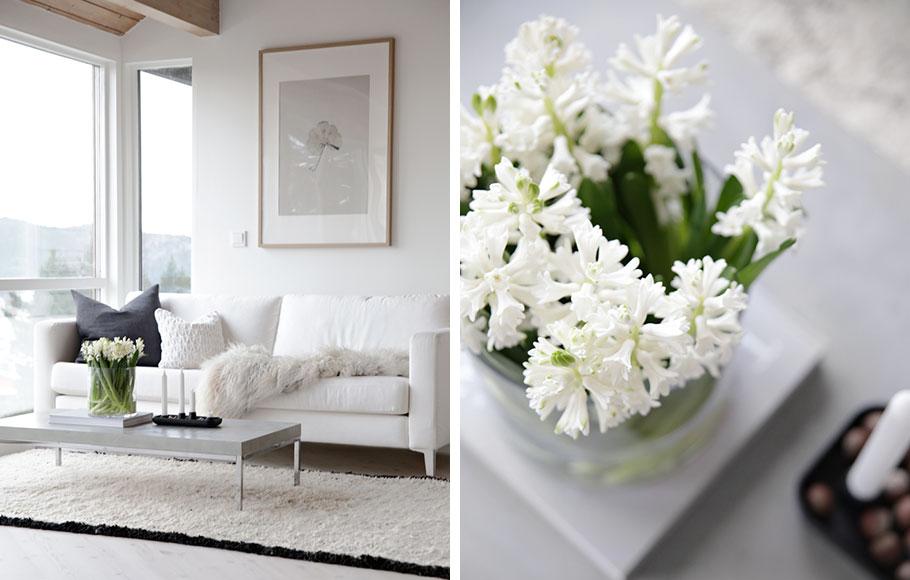 WhiteSalon-Jacint-Stylizimo