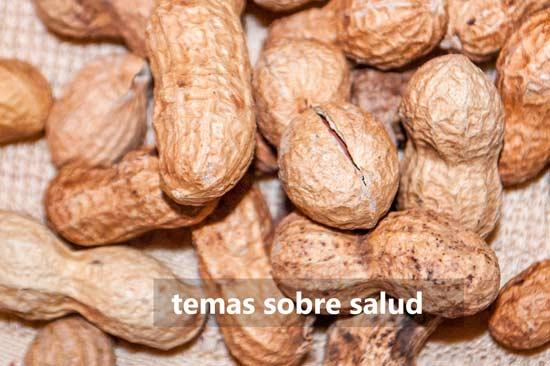 Frutos secos