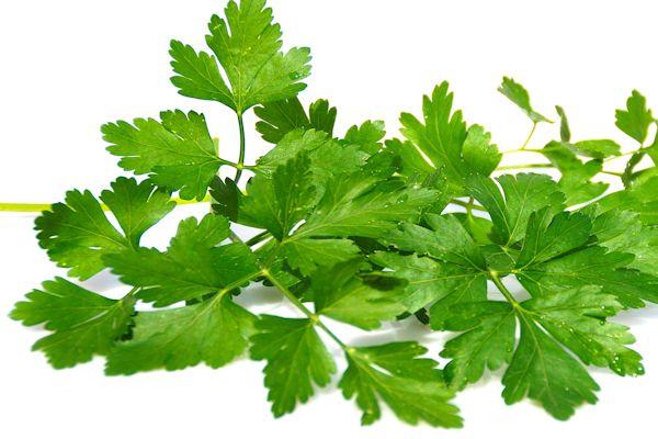 REMEDIOS NATURALES CON PLANTAS Para Combatir La GASTRITIS1