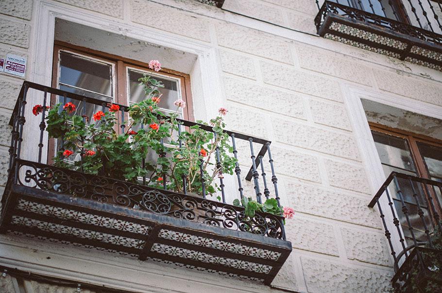 BalconGeranio