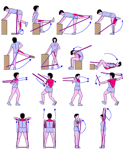 ejercicios con gomas elasticas 3