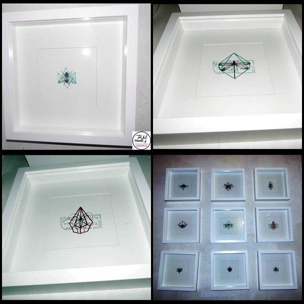 collage insectos