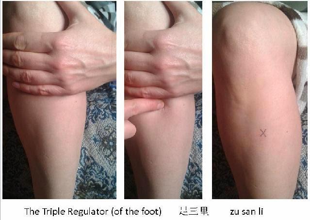 Donde está el Zu San Li