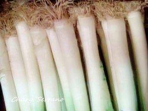 CREMA FRÍA DE PUERROS - VICHYSSOISE 