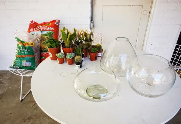 diy-centros-de-mesa-cactus-suculentas