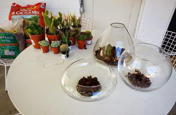 diy-centros-de-mesa-cactus-suculentas