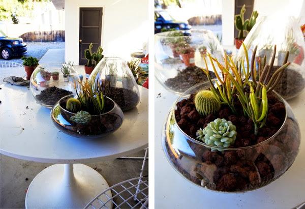 diy-centros-de-mesa-cactus-suculentas