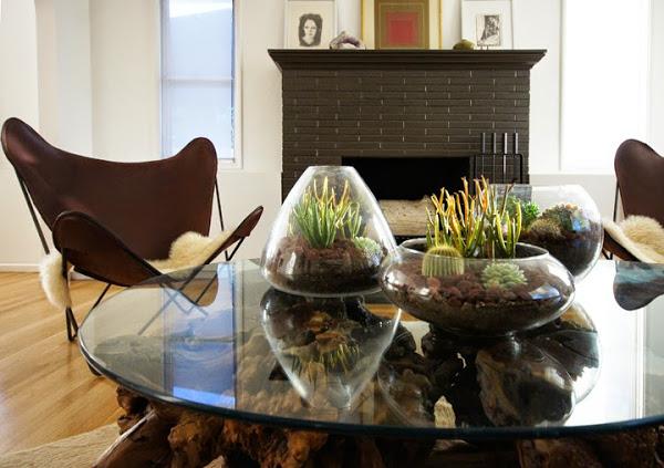 diy-centros-de-mesa-cactus-suculentas