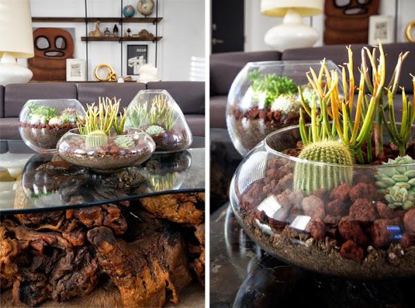 diy-centros-de-mesa-cactus-suculentas