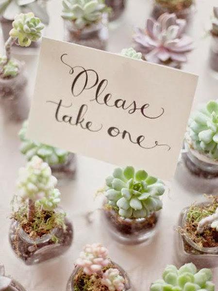 diy-centros-de-mesa-cactus-suculentas